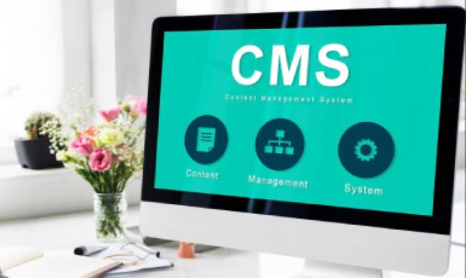 Custom CMS Solutions