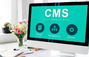 CMS Development